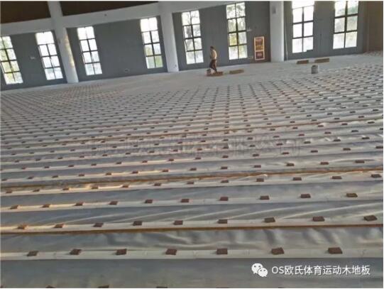 �Sɽ��쨿h�w���^ľ�ذ�ɹ�����