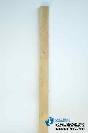 楓木籃球場木地板維護